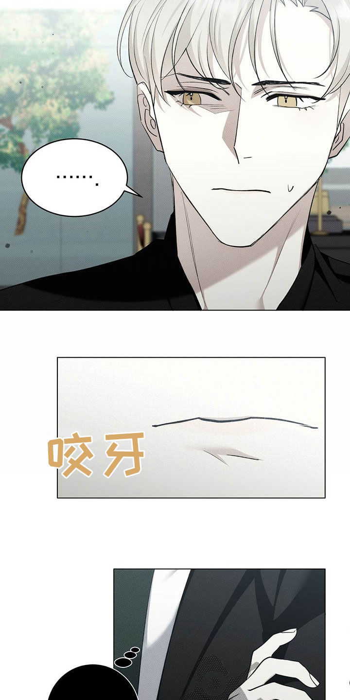 第16章：补品13