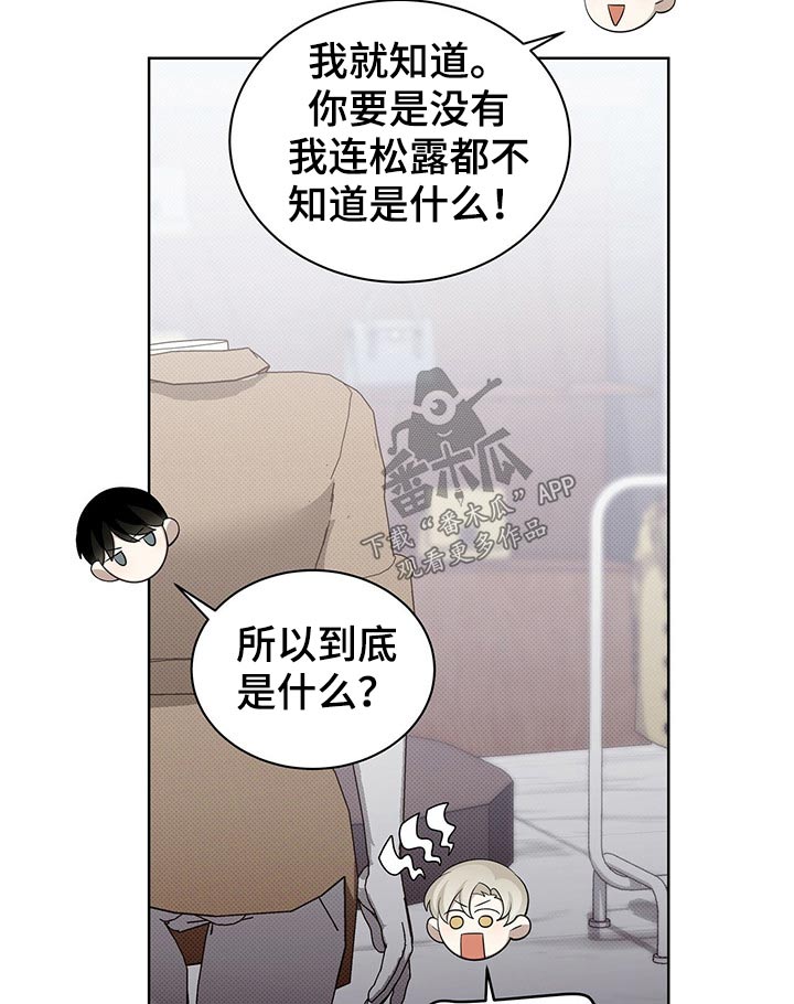 第41章：买鞋19