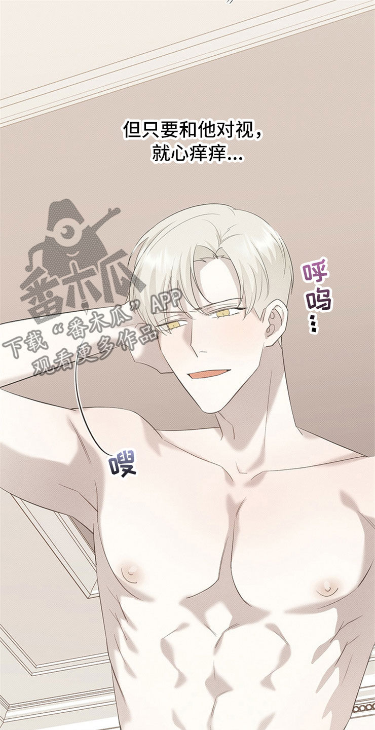 第52章：死定了17