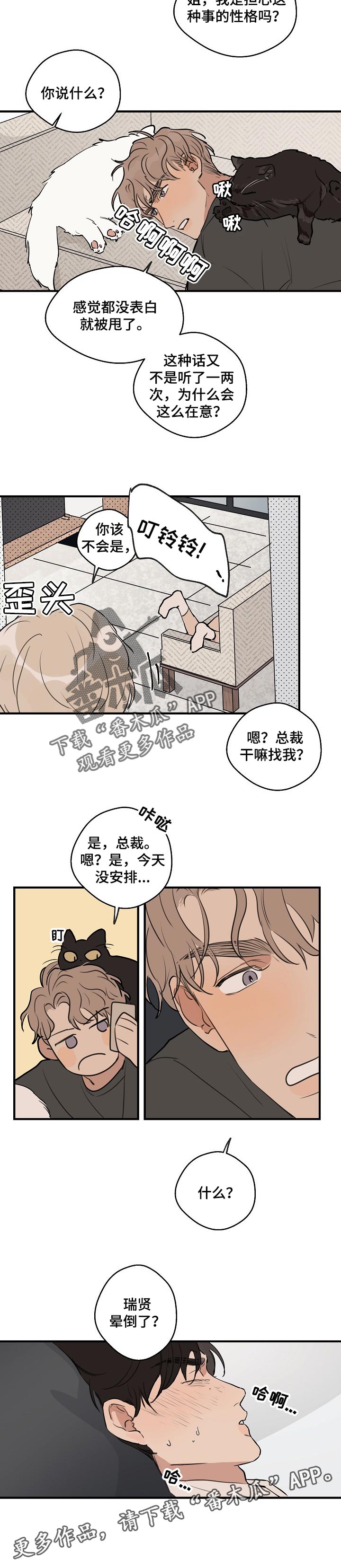 第49章：【第二季】晕倒了7