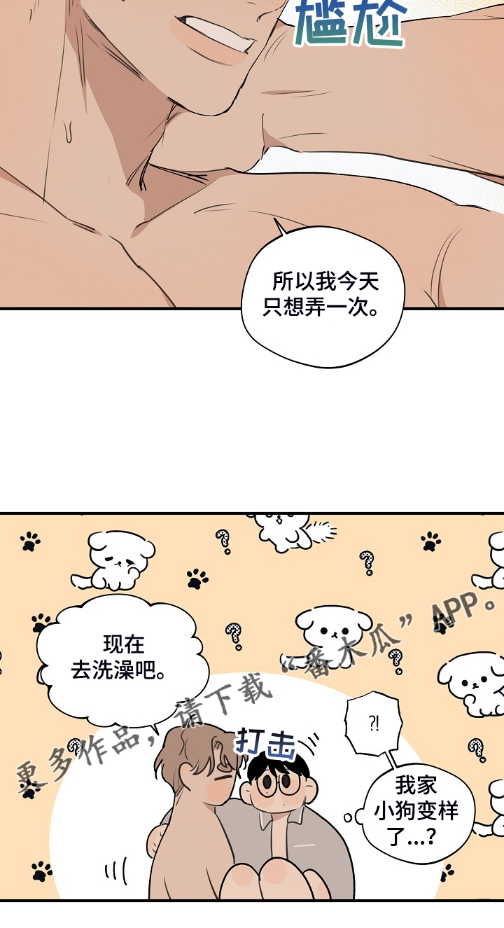 第88章：【第二季】小狗变样了29