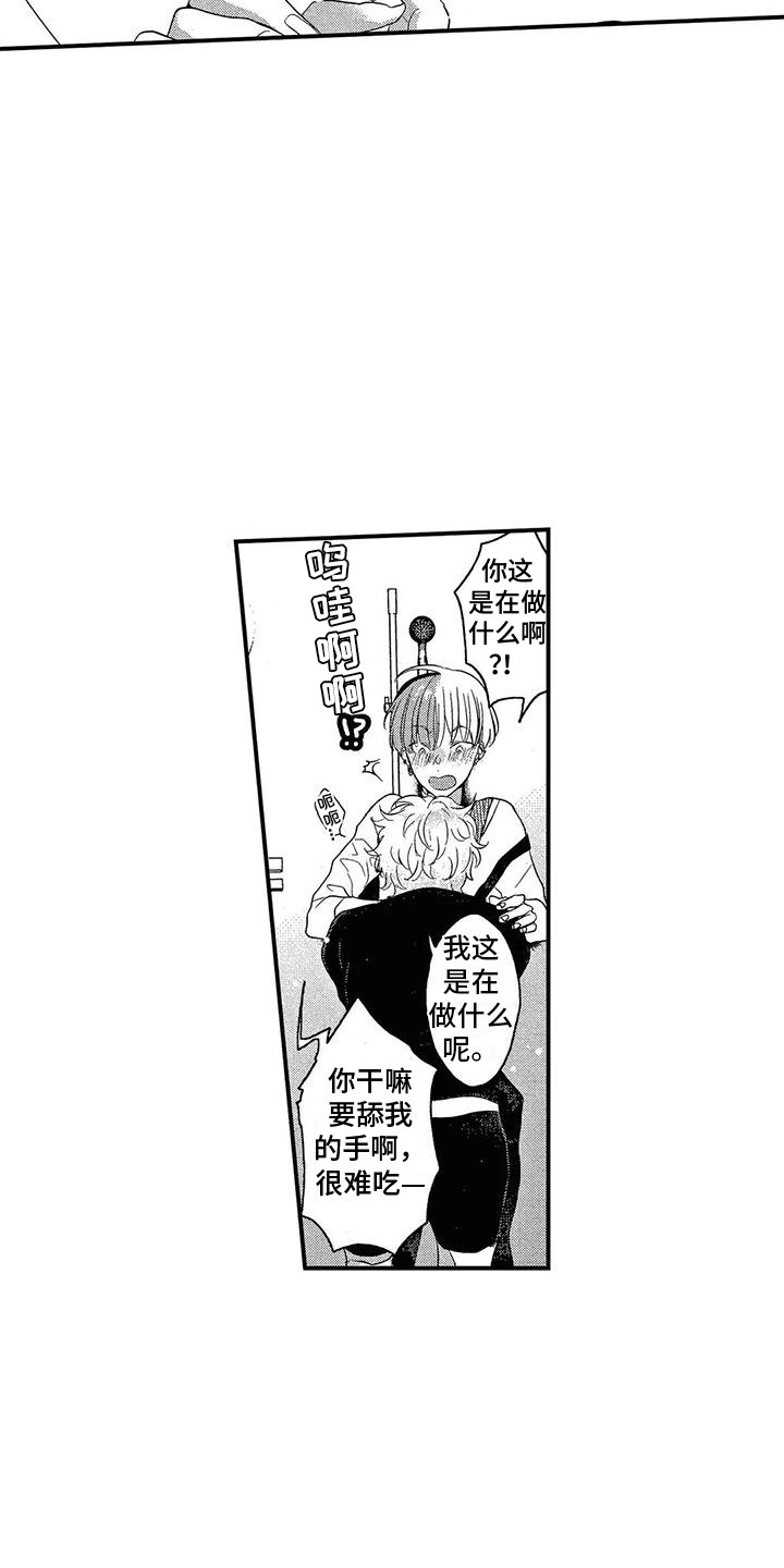 第13章：解释14
