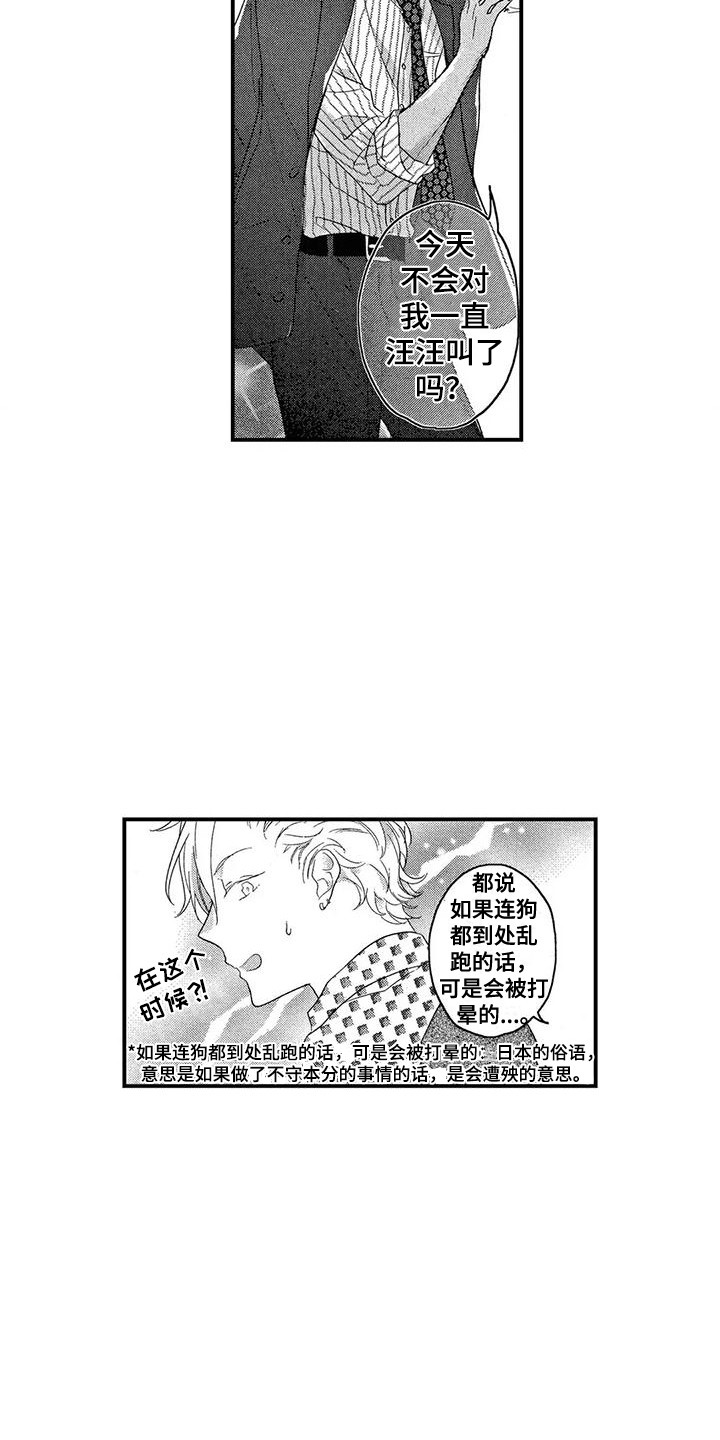 第21章：老熟人8