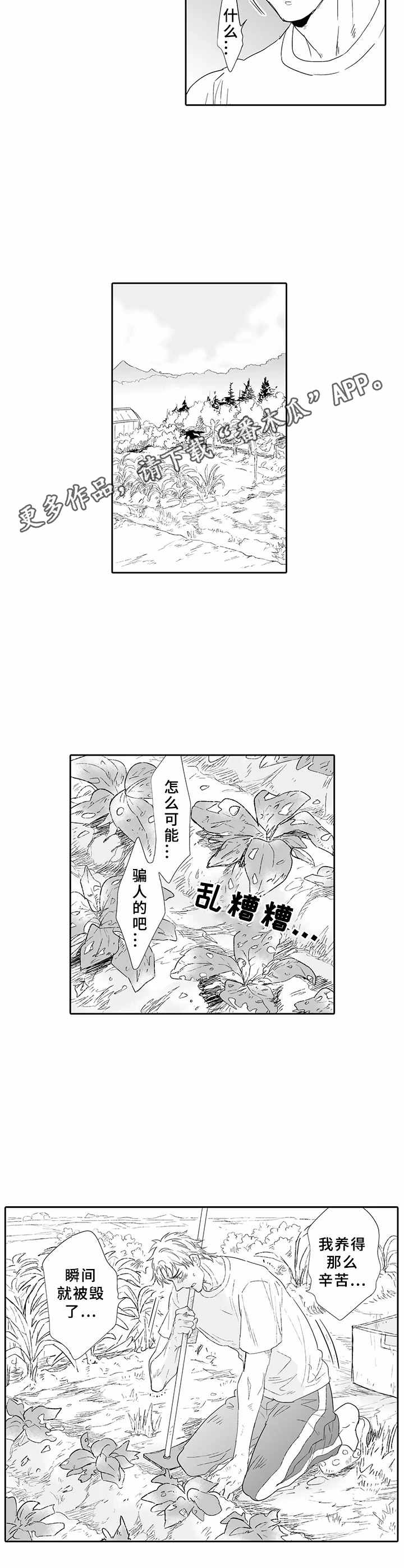 第11章：挫败感4