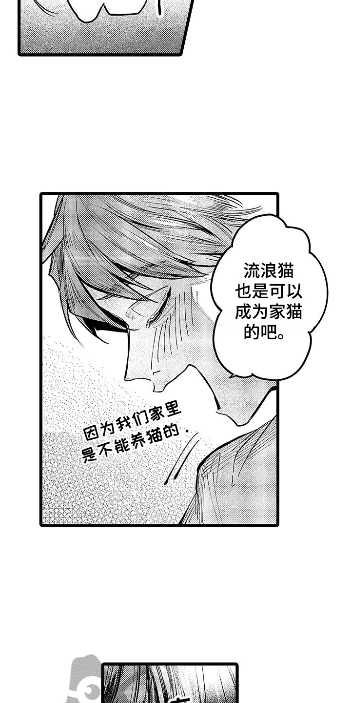 第12章：家猫8