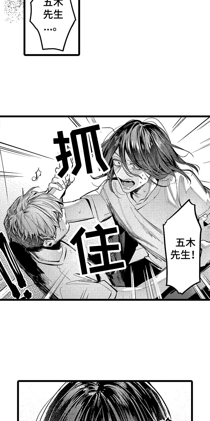 第12章：家猫10