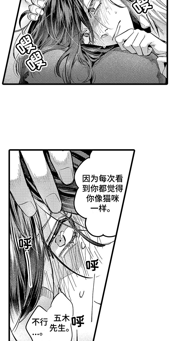 第12章：家猫7
