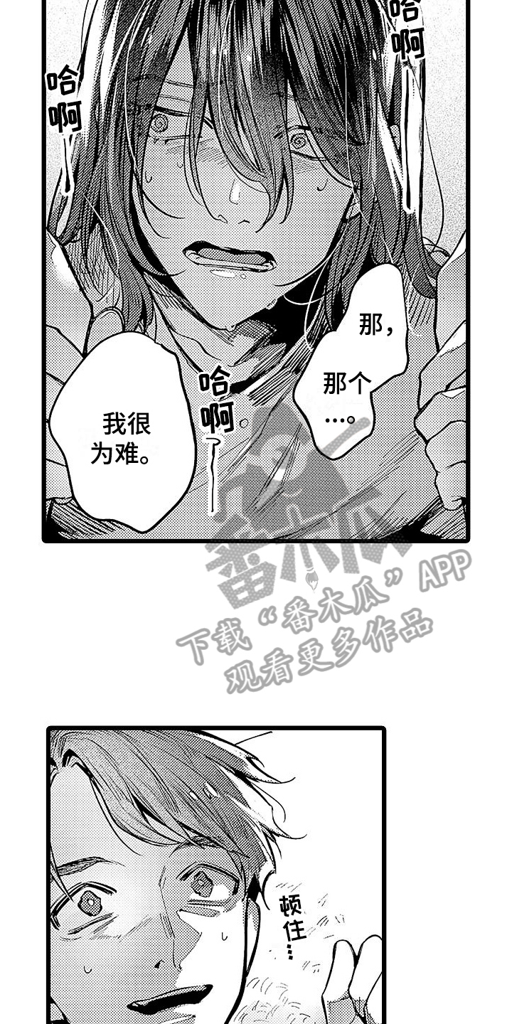 第12章：家猫11