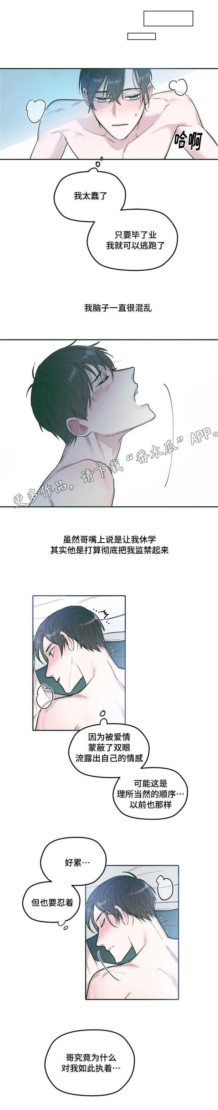 第31章：联系8