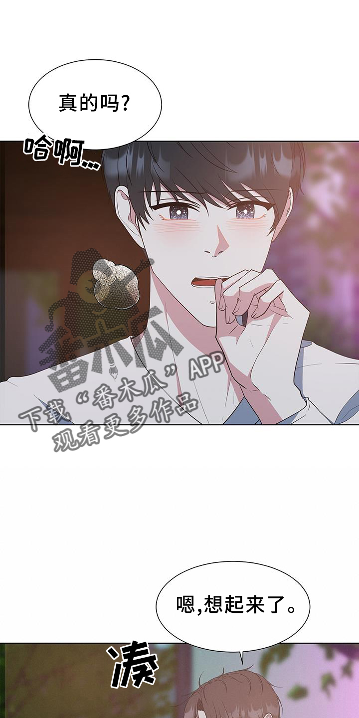 第81章：价值15