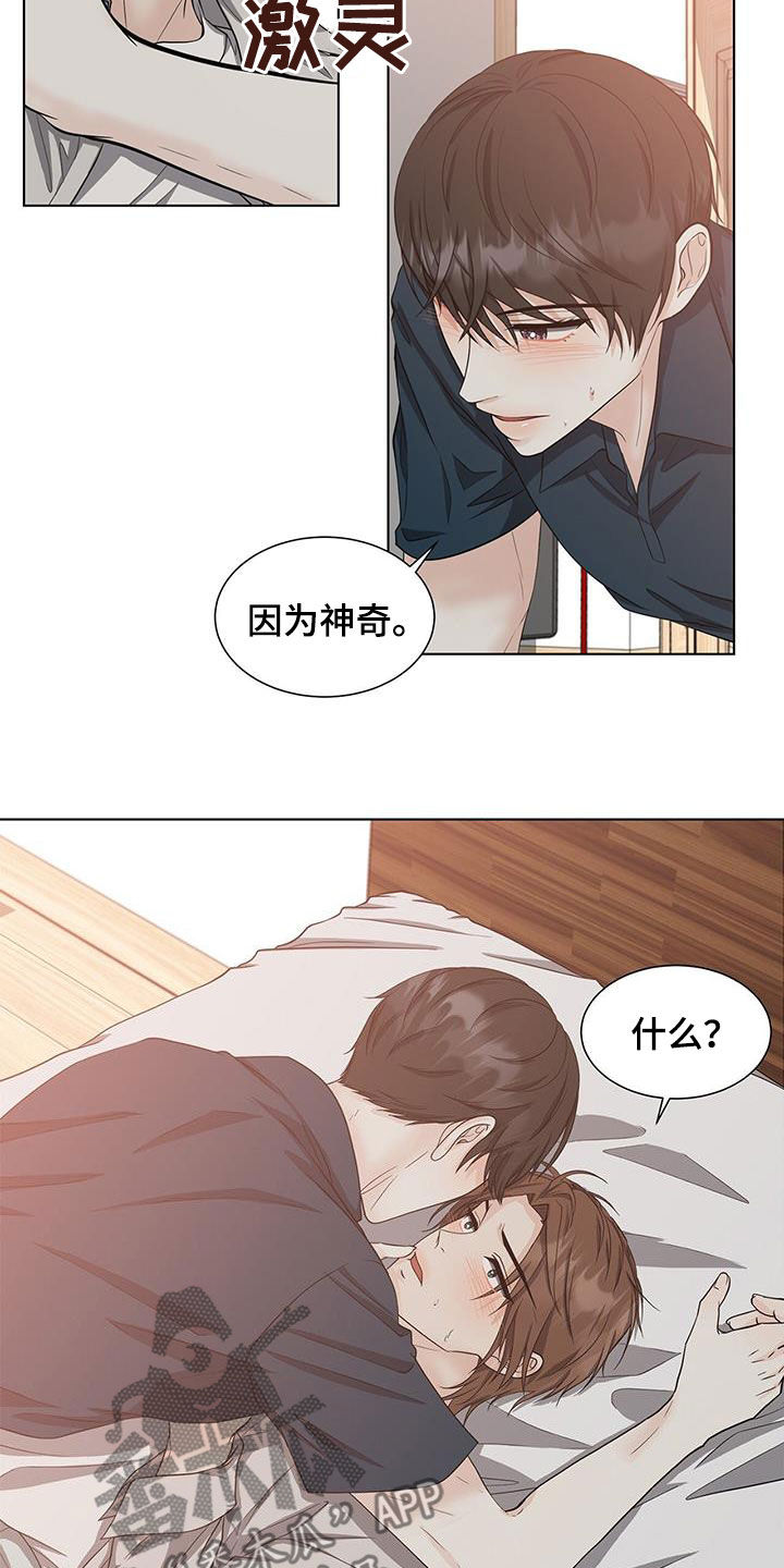 第49章：神奇12