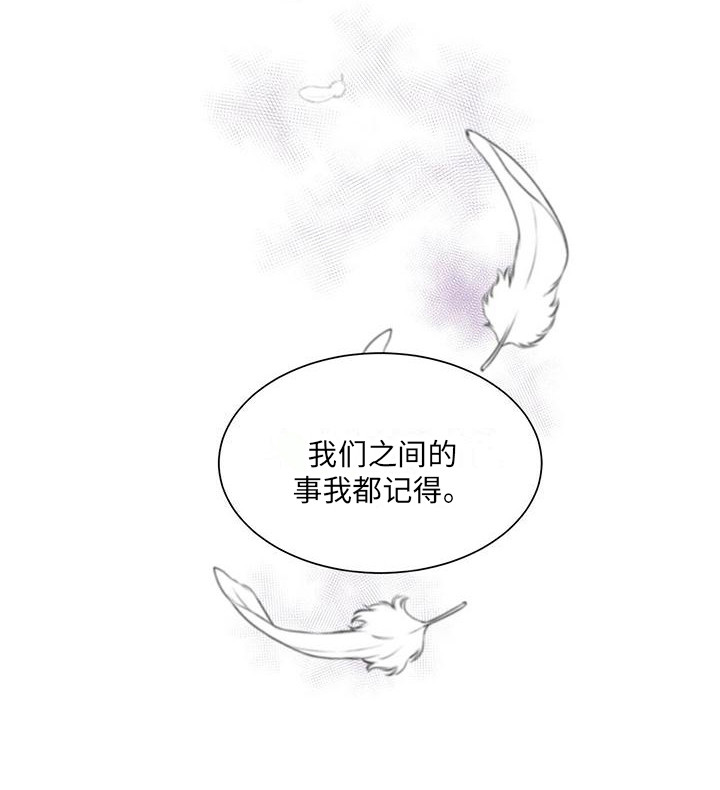 第6章：表白17
