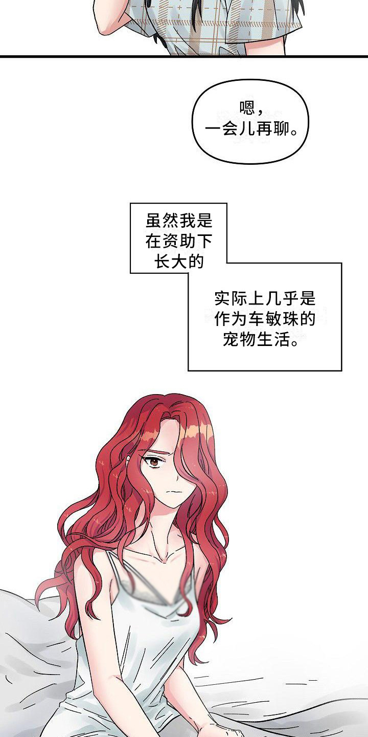 第4章：宠物17