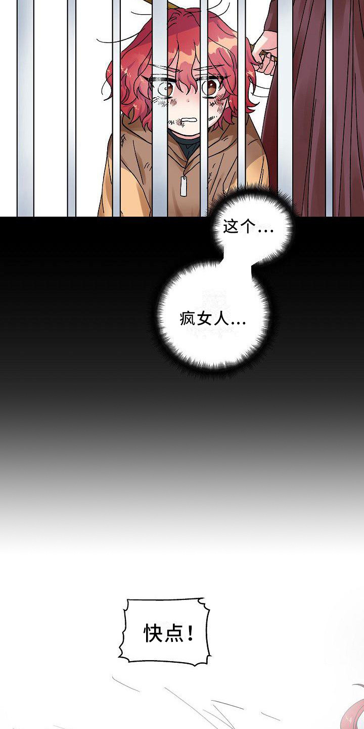 第4章：宠物12
