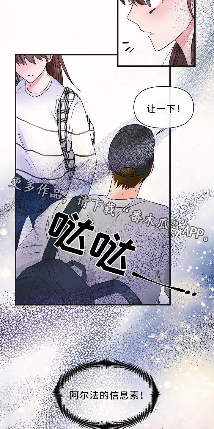 第15章：信息素10