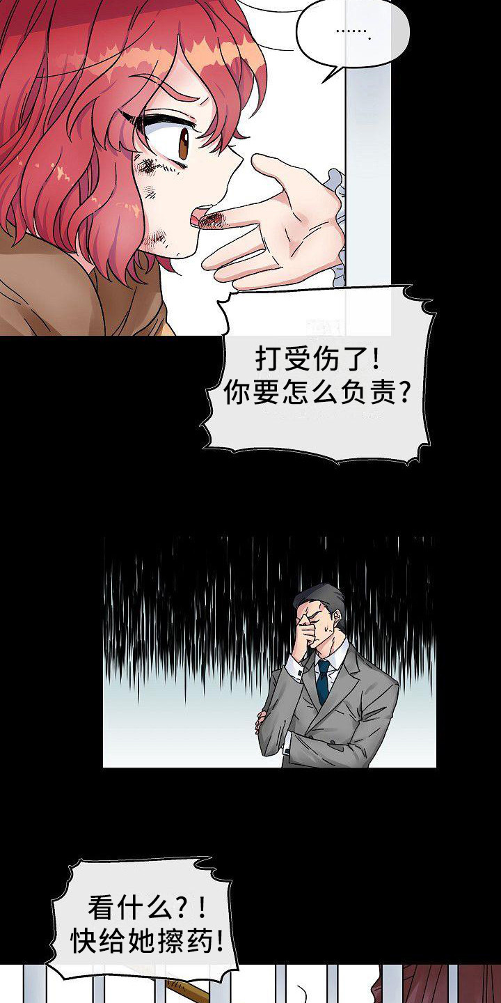 第4章：宠物11