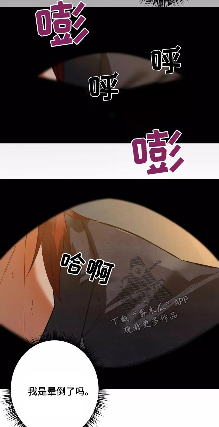 第51章：怎么来着17
