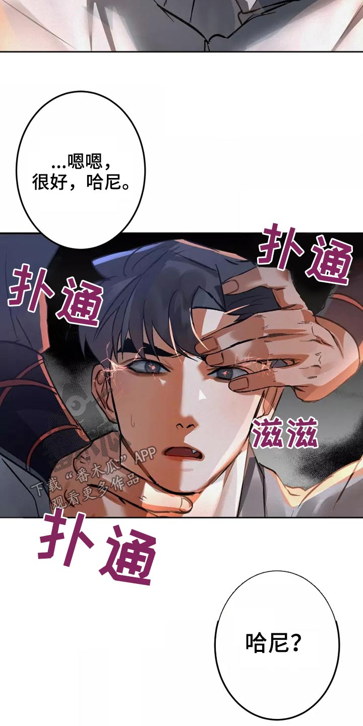 第55章：信件17
