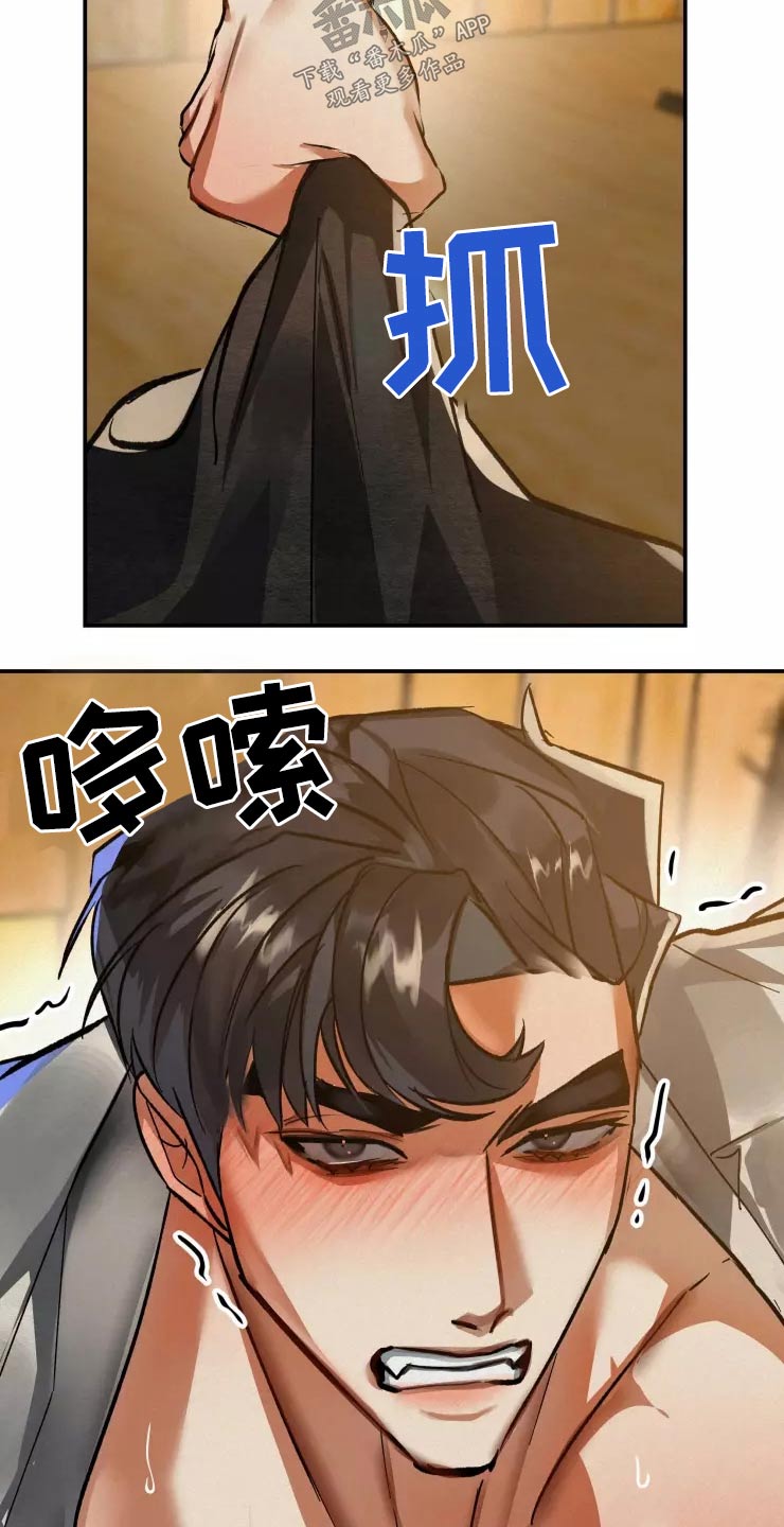 第52章：决定15