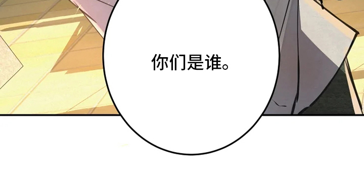 第38章：你们是谁24
