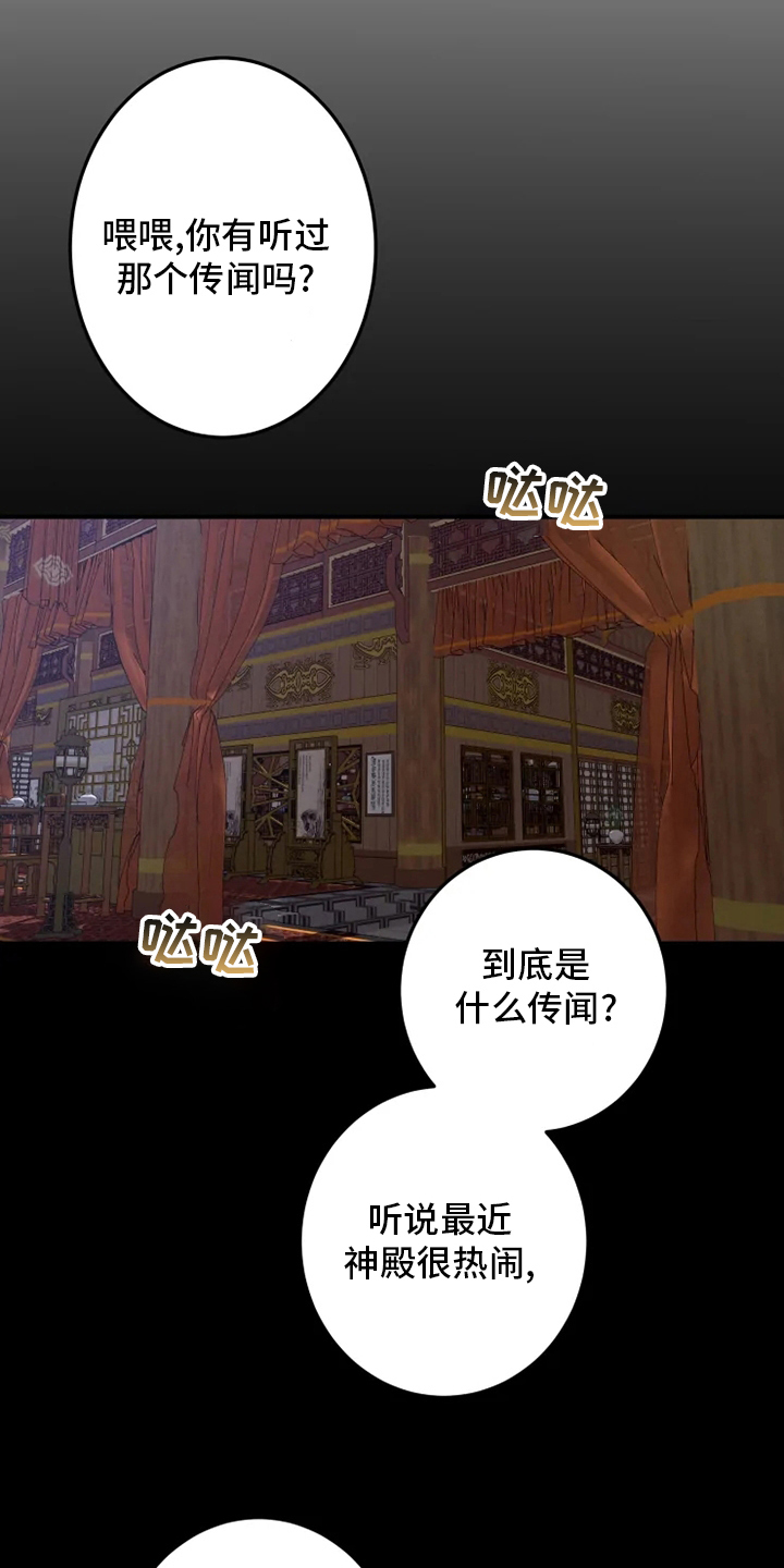 第34章：学习20