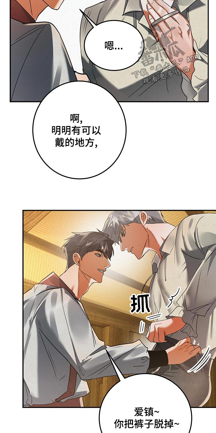 第73章：首饰16