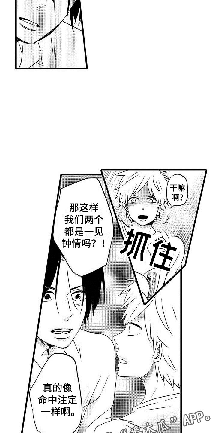 第11章：命中注定：一见钟情21