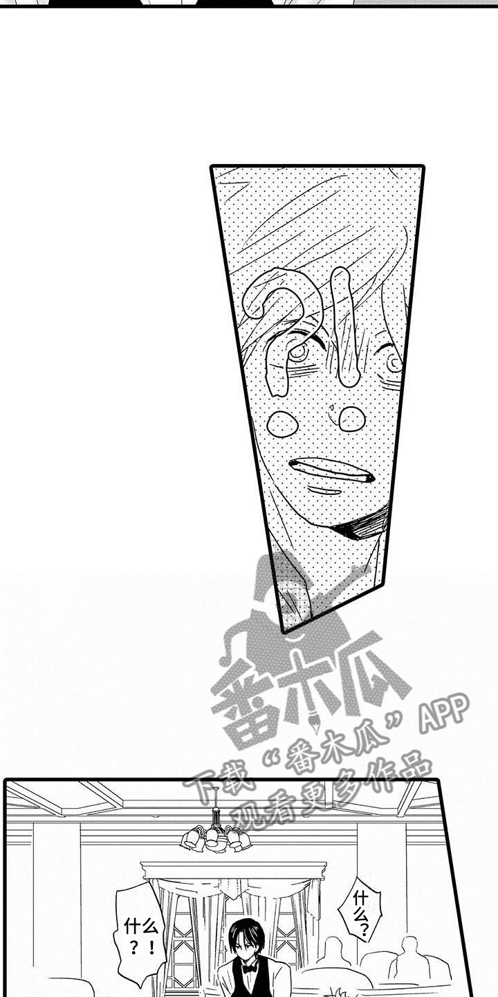 第11章：命中注定：一见钟情5