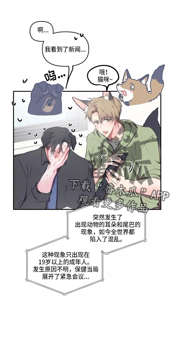 第108章：【番外】试试吧2