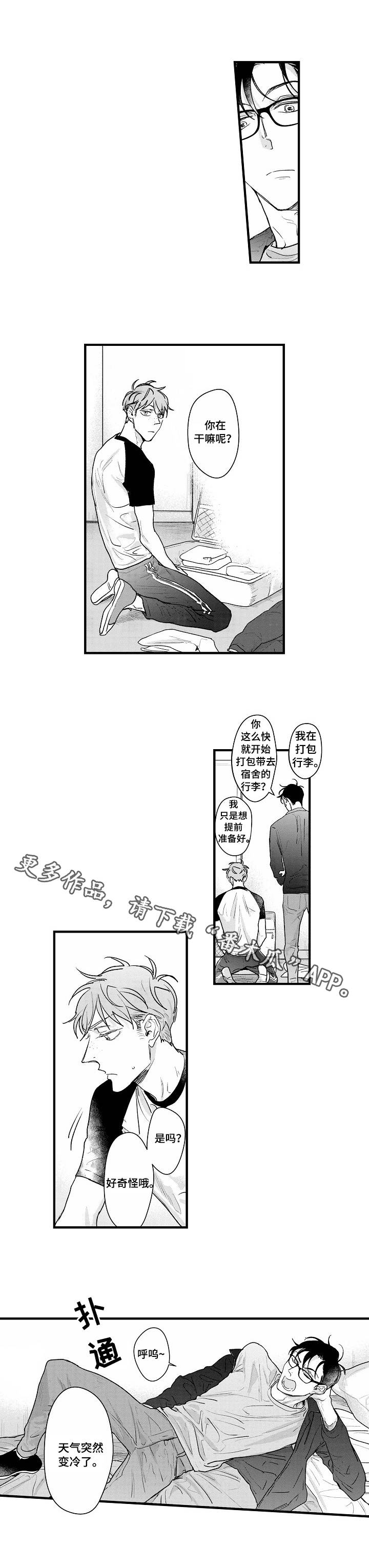 第17章：打包行李5