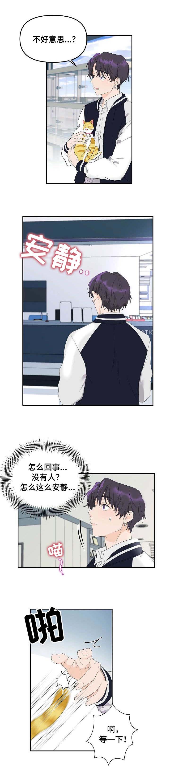 第1章：猫咪9