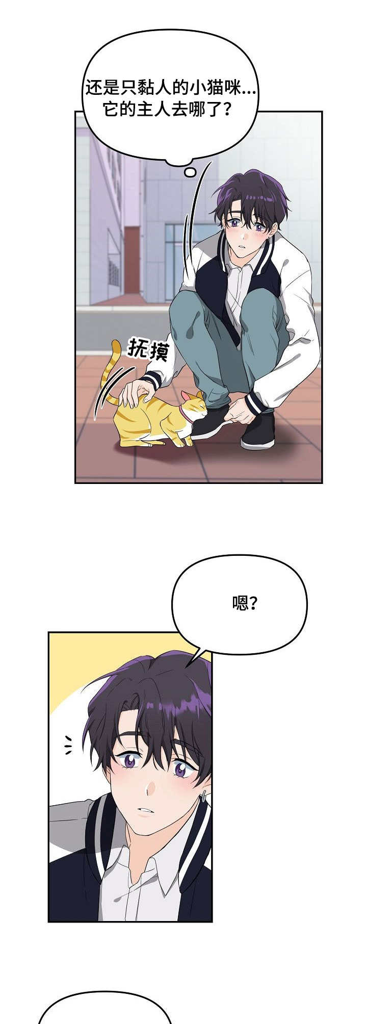 第1章：猫咪6