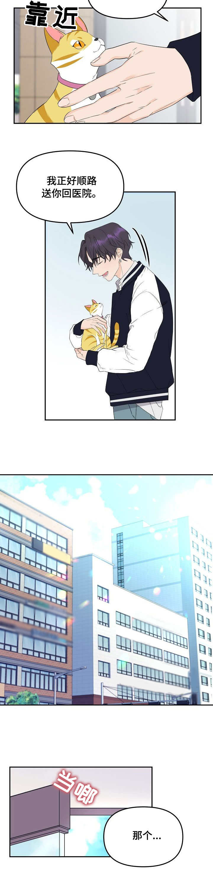 第1章：猫咪8