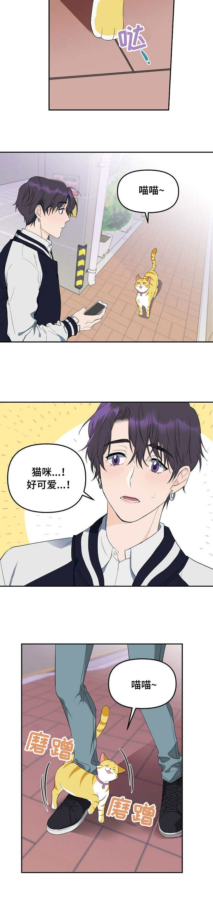 第1章：猫咪5