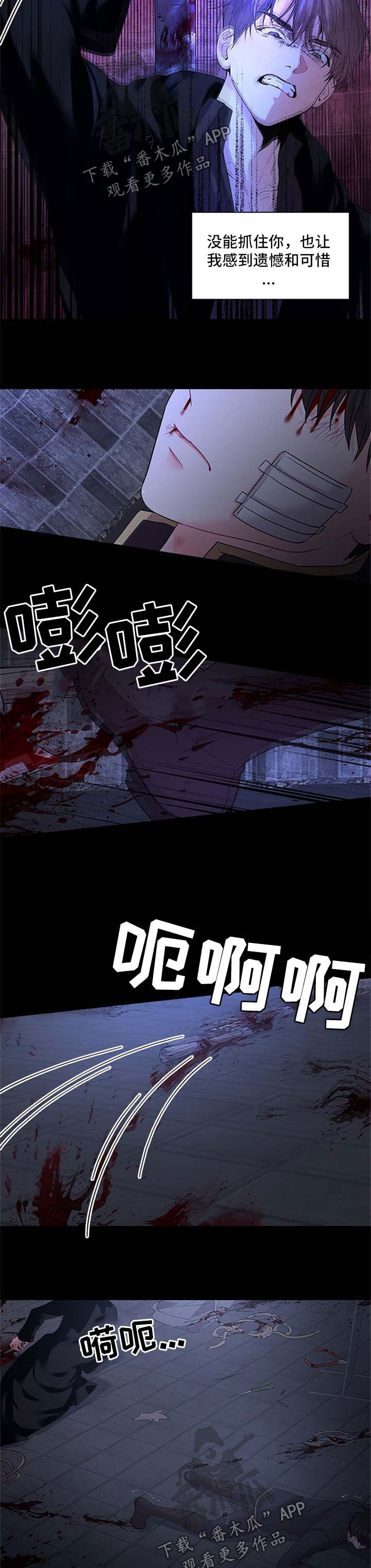 第74章：壮观5