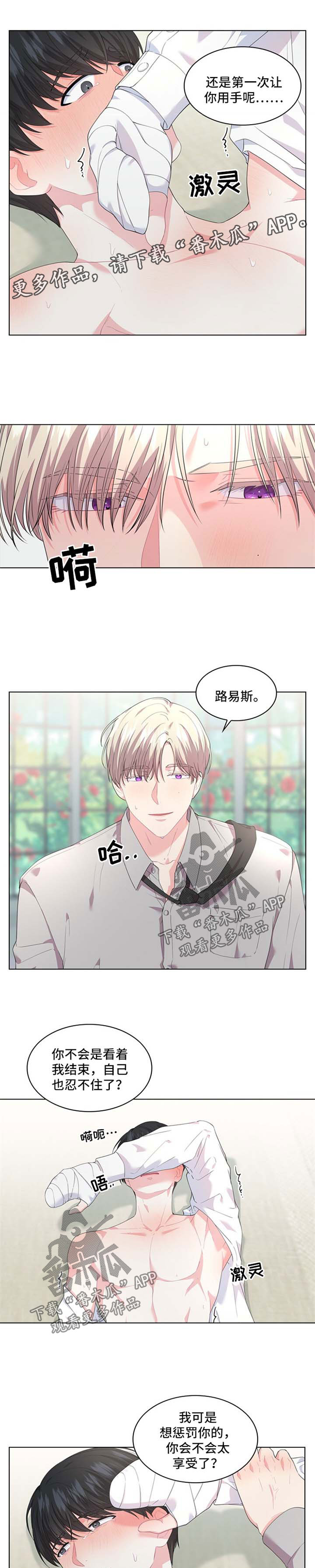 第29章：迷药2