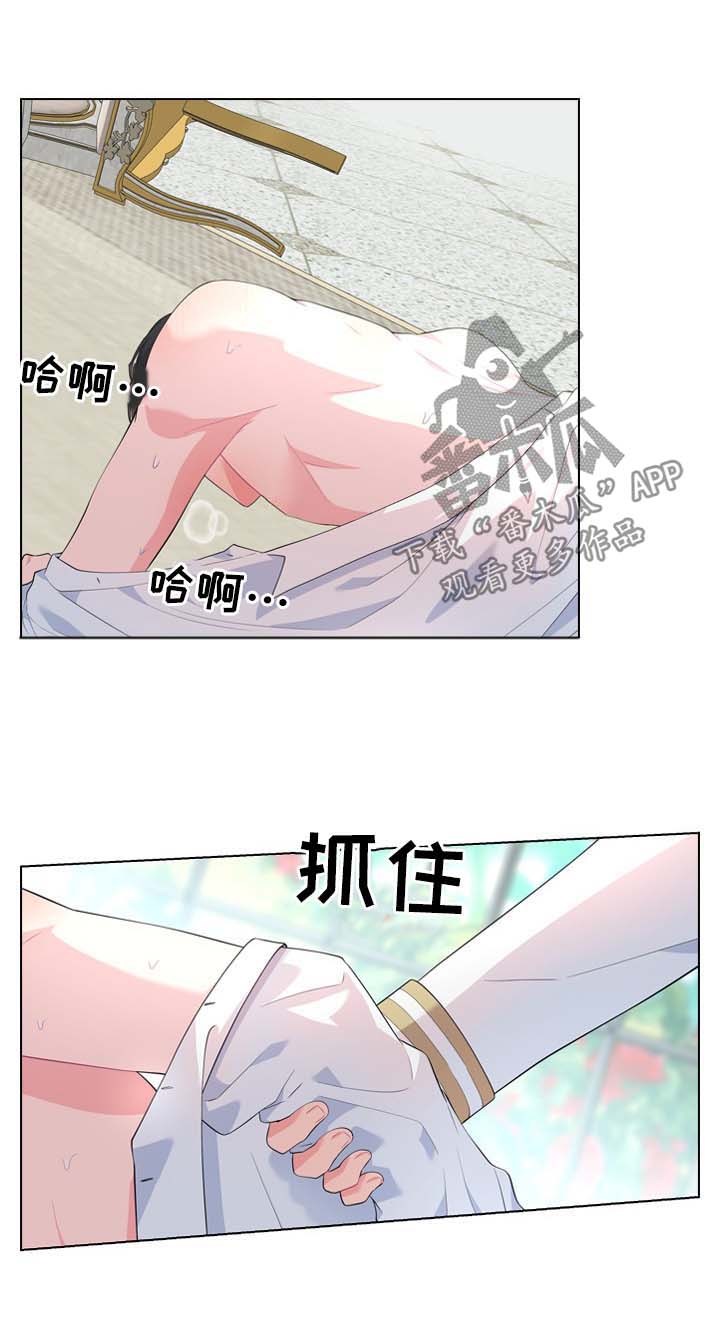 第27章：刚开始15