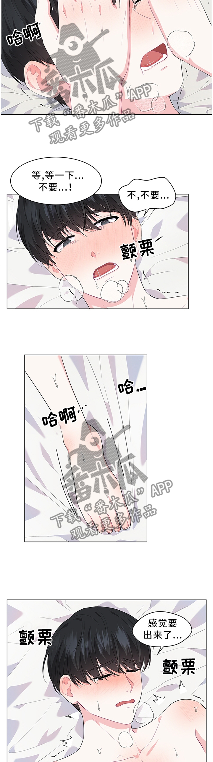 第36章：不要吵醒他11