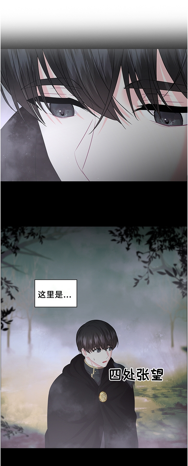 第67章：一个选择!0