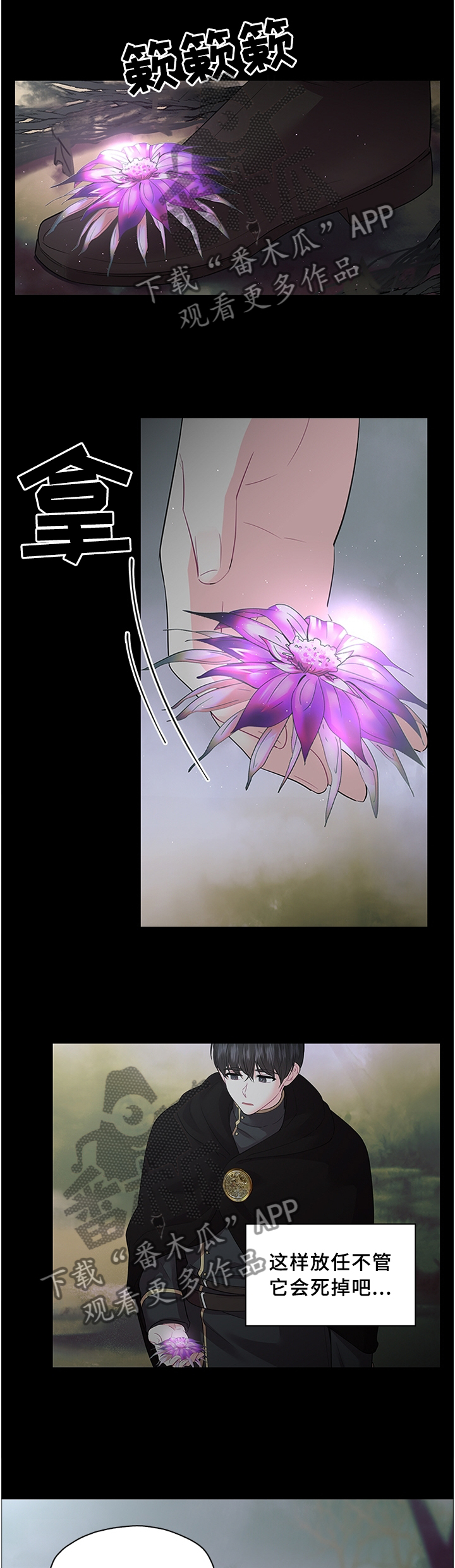 第67章：一个选择!1