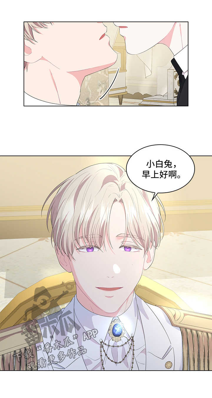 第40章：小白兔的爱好11