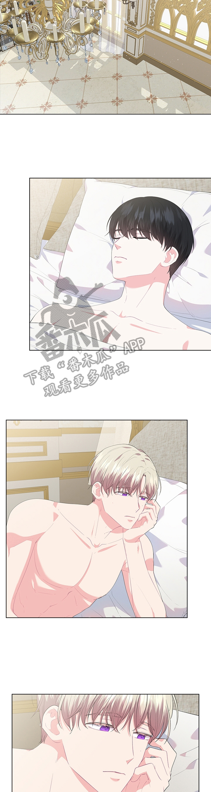 第41章：喜欢1