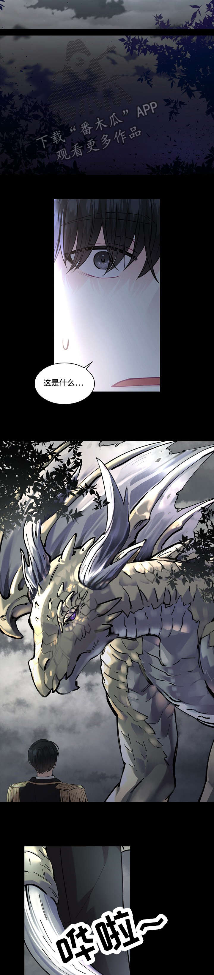 第15章：一起去4