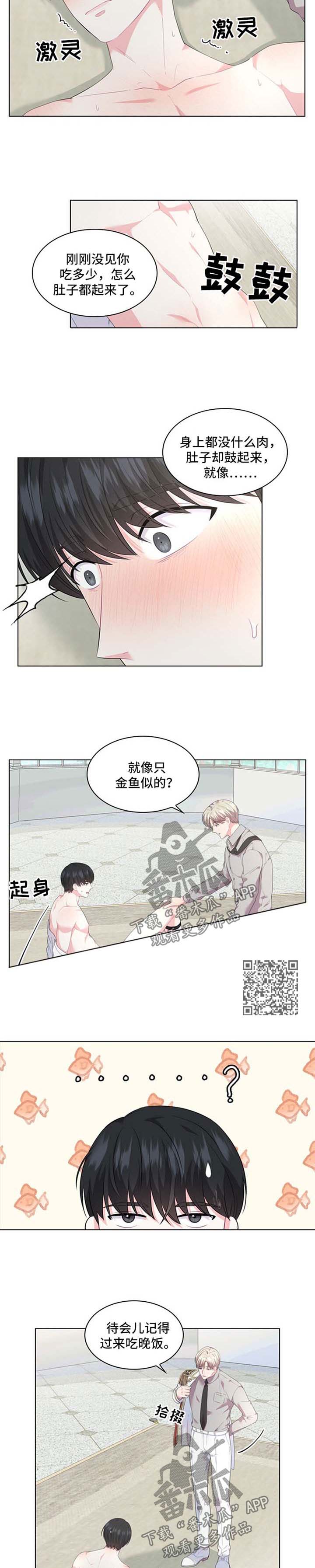 第29章：迷药3