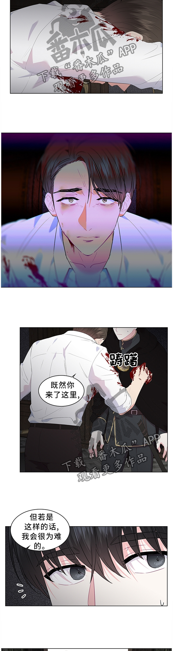 第50章：表明心意4