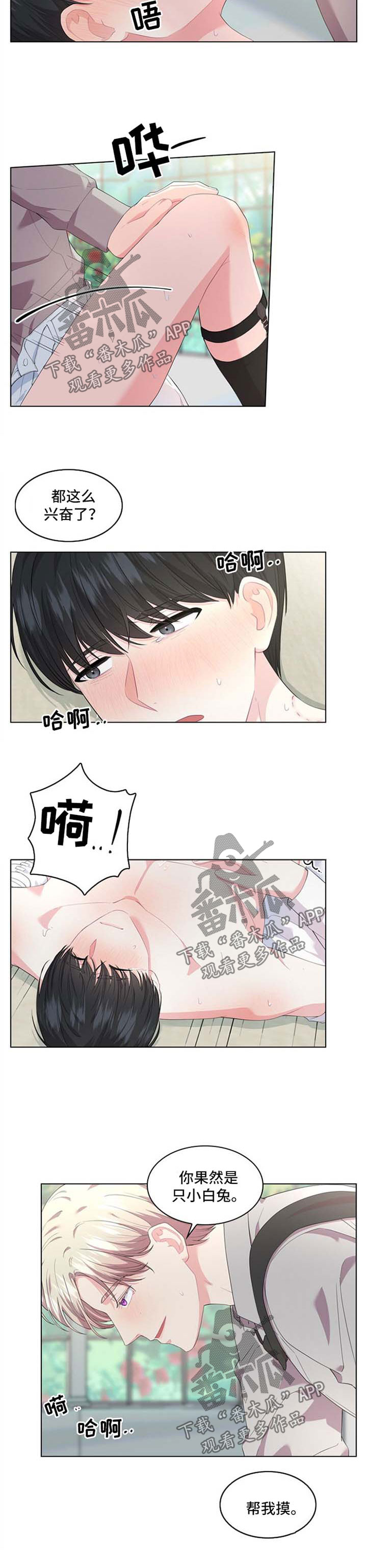 第29章：迷药1