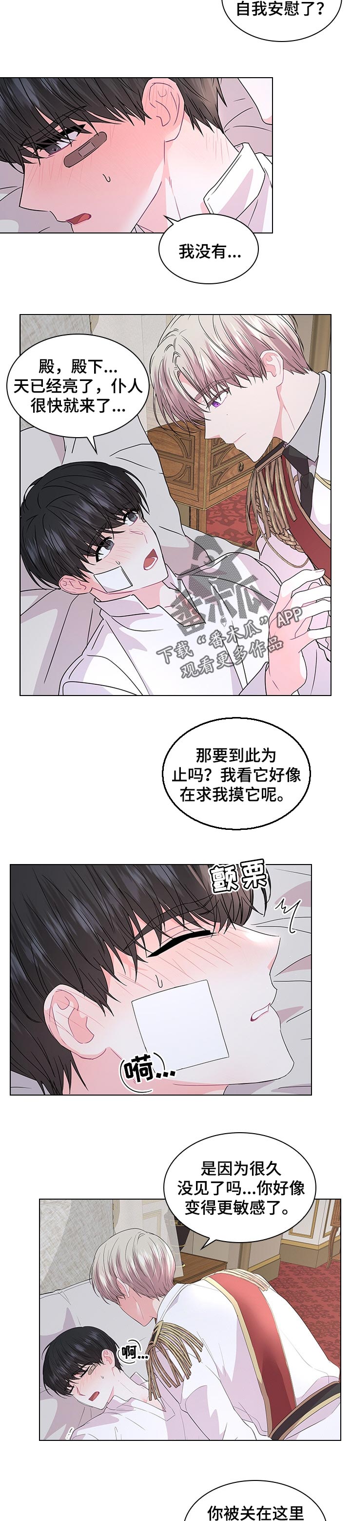 第81章：如你所愿3