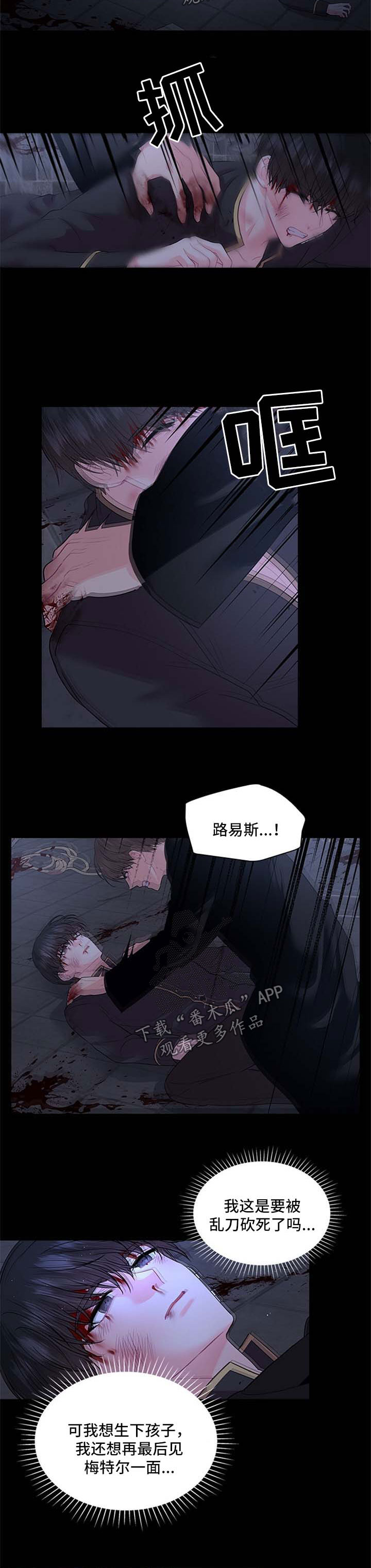 第74章：壮观6