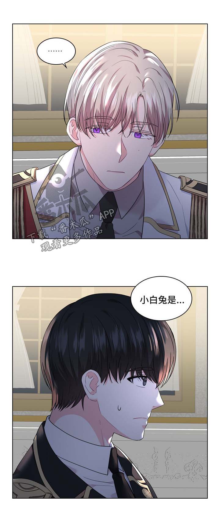 第31章：小白兔是谁16
