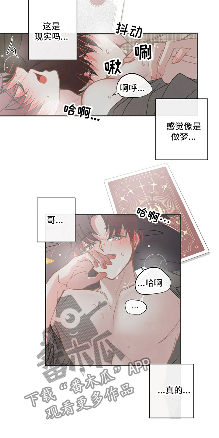 第40章：桃花运：像梦一样11